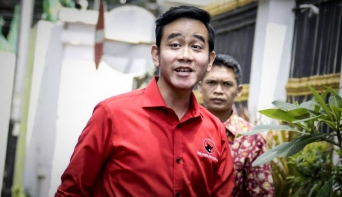 Gibran Tidak Bisa Dipilih Sebagai Cawapres Berdasarkan Usia, Tapi Pengalaman Bisa – Deliknews.com