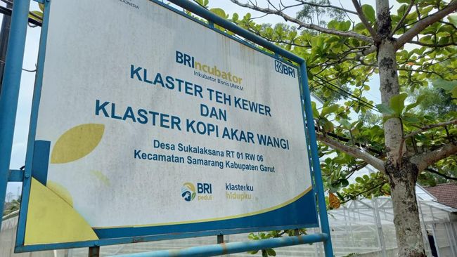 Program BRI ‘Klasterku Hidupku’ Mendorong Pertumbuhan Industri Kopi