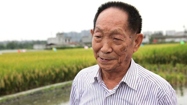 Petani China Menemukan Jenis Beras Super, Mereka Sukses Jadi Pahlawan Dunia