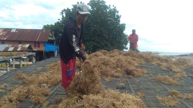 UMKM Binaan BRI Mendorong Perekonomian Nelayan di Pesisir Sulawesi Selatan