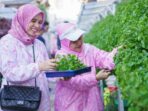 BRInita Sukses Mengubah TPS Liar Menjadi Urban Farming Melalui Program BRI Peduli