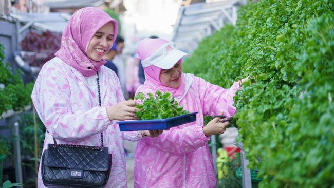 BRInita Sukses Mengubah TPS Liar Menjadi Urban Farming Melalui Program BRI Peduli