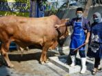 Peternak Kambing Berhasil Berkembang Usaha Berkat Dukungan BRI