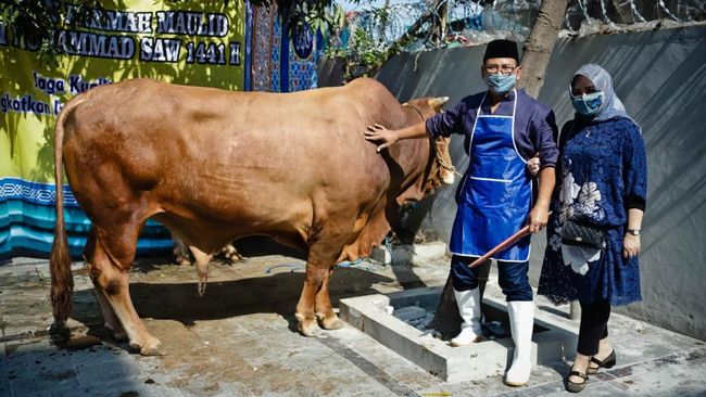 Peternak Kambing Berhasil Berkembang Usaha Berkat Dukungan BRI