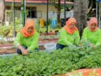 BRINita Membantu Kelompok Tani Mengubah Lahan Terbengkalai Menjadi Produktif