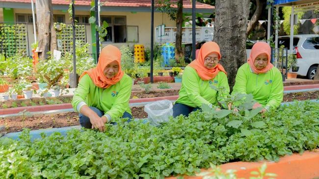 BRINita Membantu Kelompok Tani Mengubah Lahan Terbengkalai Menjadi Produktif