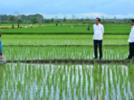 Aktivis Papua Menuntut Dihentikannya Proyek Pembangunan Satu Juta Hektar Sawah di Merauke